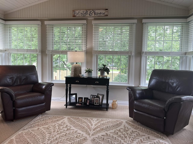 3118 Birch Run, Adrian, MI 49221 - living room with vaulted ceiling and carpet floors