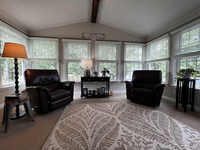 3118 Birch Run, Adrian, MI 49221 - sunroom / solarium featuring carpet and wood ceiling