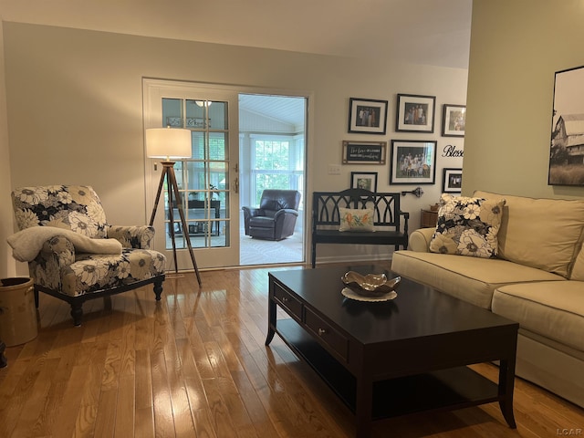 3118 Birch Run, Adrian, MI 49221 - living area featuring hardwood / wood-style floors