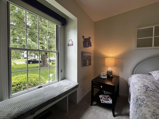 3118 Birch Run, Adrian, MI 49221 - bedroom featuring multiple windows and carpet
