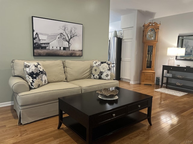 3118 Birch Run, Adrian, MI 49221 - living area featuring light wood finished floors