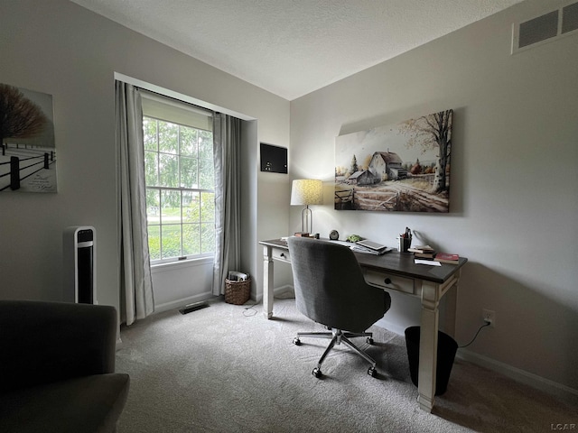 3118 Birch Run, Adrian, MI 49221 - office space with carpet flooring and a textured ceiling