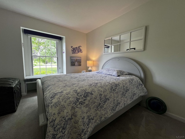 3118 Birch Run, Adrian, MI 49221 - bedroom featuring carpet floors and baseboards