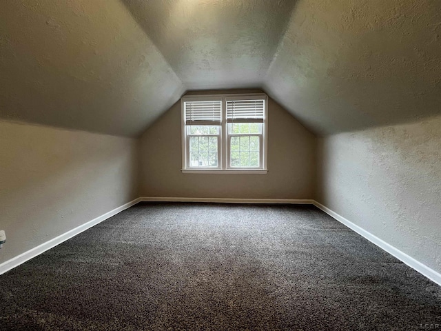 1370 University Ave, Adrian, MI 49221 - additional living space with a textured ceiling, vaulted ceiling, dark colored carpet, and a textured wall