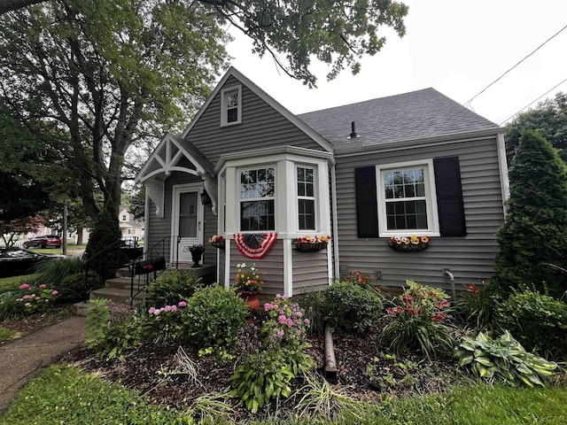1370 University Ave, Adrian, MI 49221 - bungalow with a shingled roof