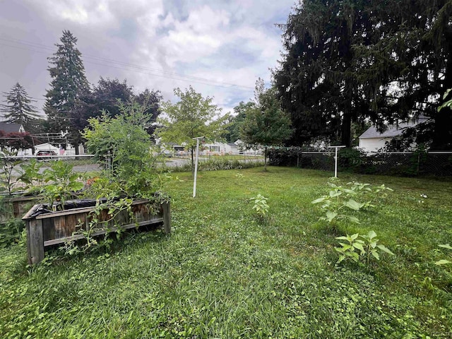 1370 University Ave, Adrian, MI 49221 - view of yard