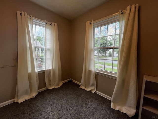 1370 University Ave, Adrian, MI 49221 - spare room with healthy amount of natural light and dark colored carpet
