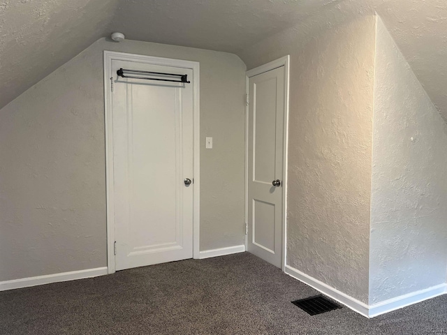 1370 University Ave, Adrian, MI 49221 - bonus room featuring a textured wall, vaulted ceiling, and carpet floors
