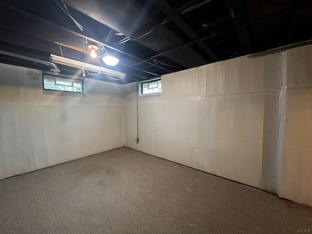 1370 University Ave, Adrian, MI 49221 - below grade area with carpet