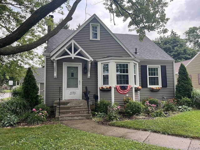1370 University Ave, Adrian, MI 49221 - view of front of home with roof with shingles