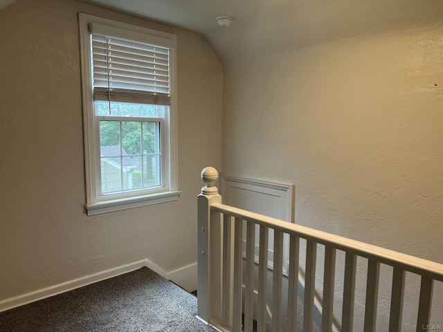 1370 University Ave, Adrian, MI 49221 - stairs with lofted ceiling, carpet floors, and a textured wall