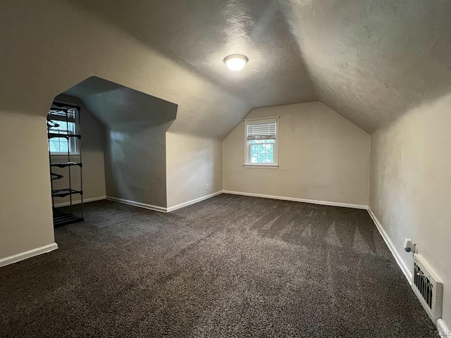 1370 University Ave, Adrian, MI 49221 - additional living space featuring vaulted ceiling, dark colored carpet, and a textured ceiling