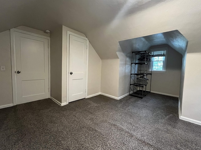1370 University Ave, Adrian, MI 49221 - bonus room featuring lofted ceiling and dark colored carpet