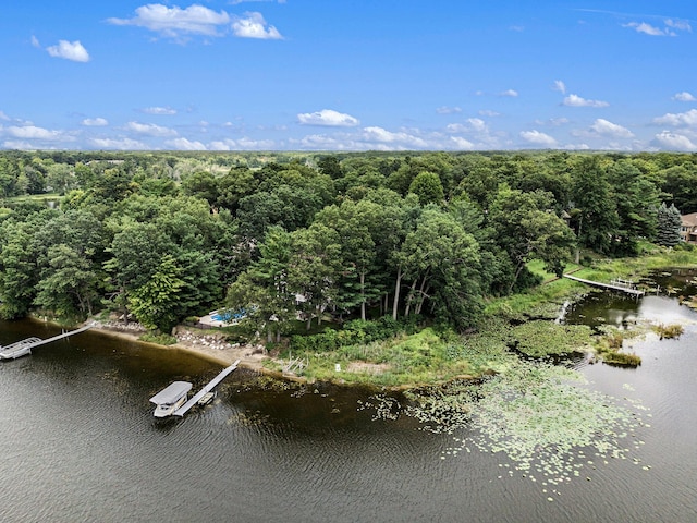 15518 Oak Ridge Dr, Spring Lake, MI 49456 - aerial overview of property's location with a forest and a nearby body of water