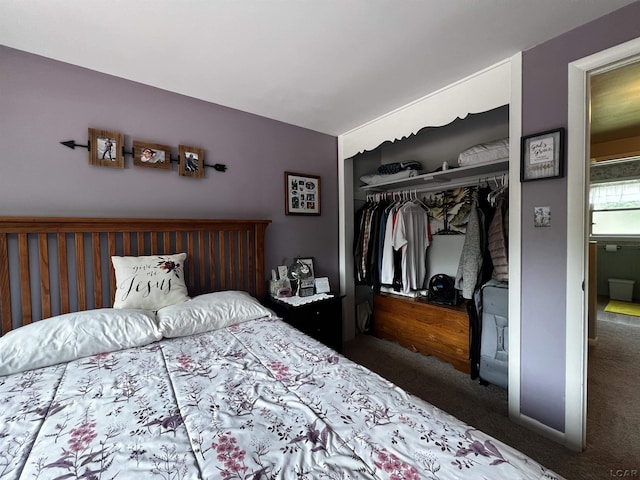 231 Willis Rd, Saline, MI 48176 - bedroom with carpet floors and a closet