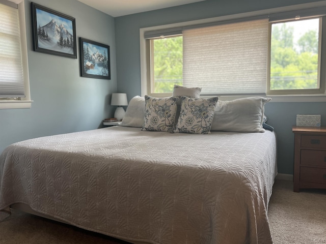 231 Willis Rd, Saline, MI 48176 - bedroom featuring carpet flooring