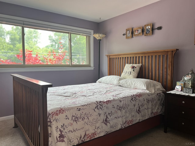231 Willis Rd, Saline, MI 48176 - view of carpeted bedroom