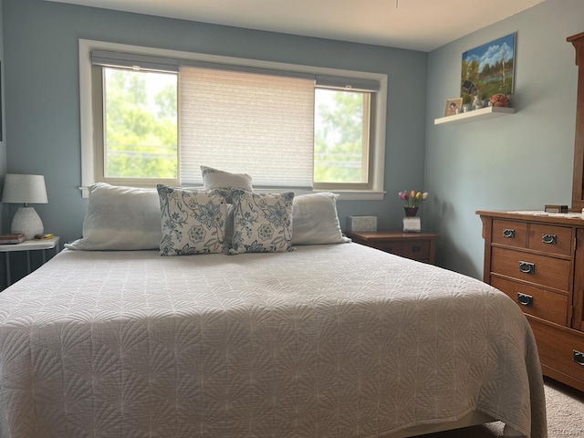 231 Willis Rd, Saline, MI 48176 - bedroom with multiple windows and carpet