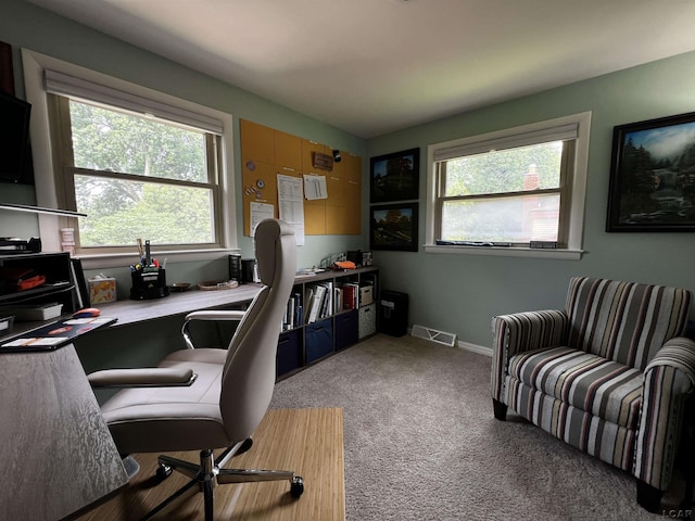 231 Willis Rd, Saline, MI 48176 - carpeted office with baseboards