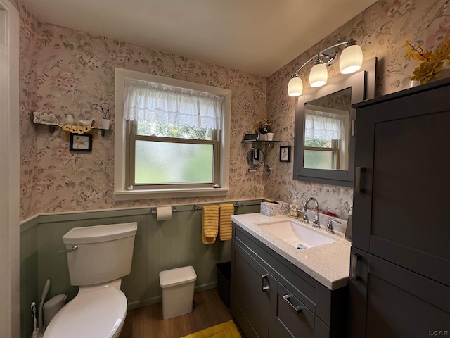 231 Willis Rd, Saline, MI 48176 - bathroom featuring wood finished floors, vanity, and plenty of natural light