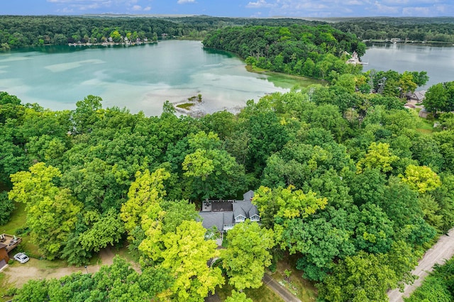 14300 Ridgemont St, Gregory, MI 48137 - drone / aerial view of a nearby body of water and a heavily wooded area