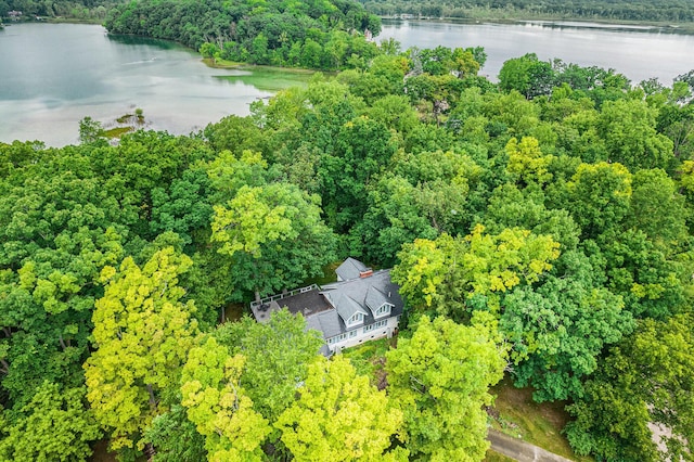 14300 Ridgemont St, Gregory, MI 48137 - bird's eye view of a large body of water