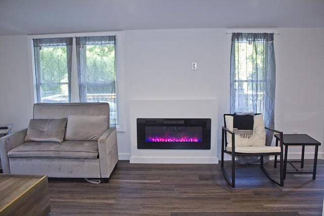 93402 Lee Dr Unit 1, Dowagiac, MI 49047 - living area with wood finished floors and a glass covered fireplace