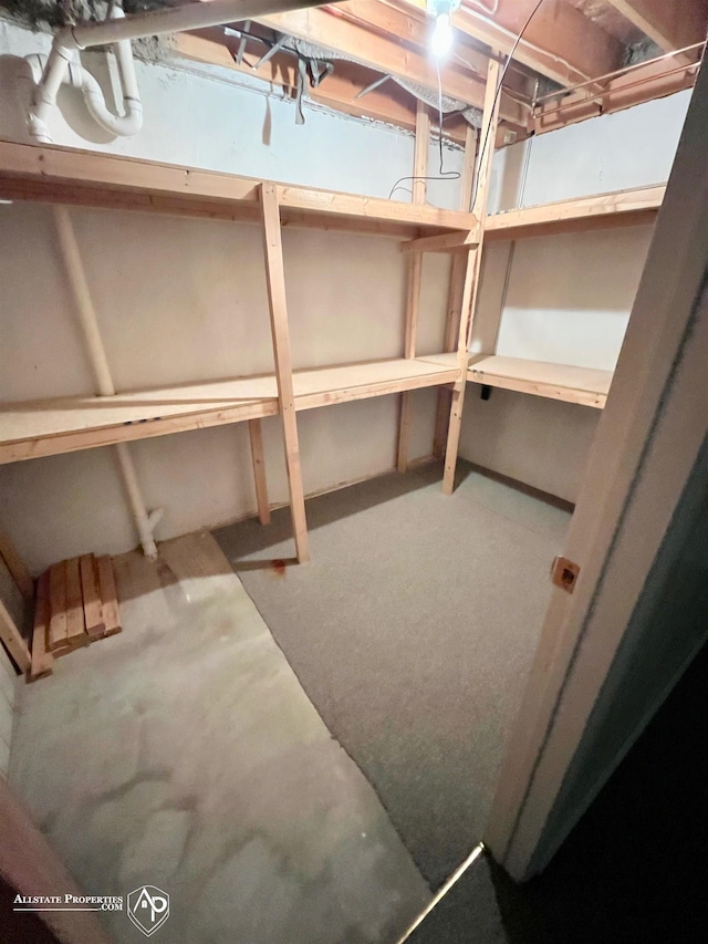 9330 Pinecrest Ct, Davison, MI 48423 - view of storage