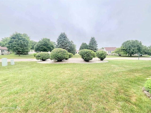 9330 Pinecrest Ct, Davison, MI 48423 - view of grassy yard
