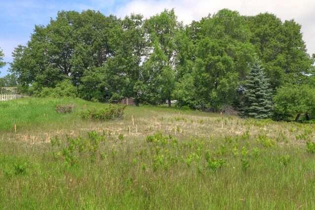 3132 Scenic Hills Dr, Williamsburg, MI 49690 - photo 22