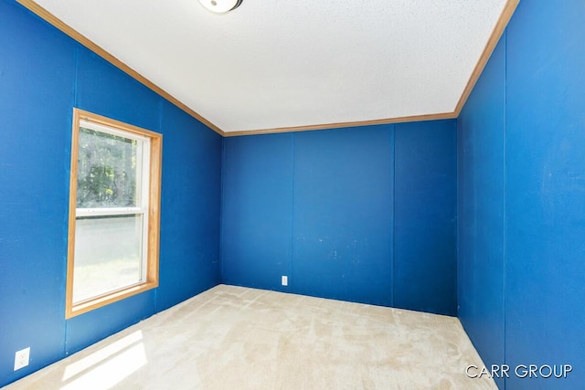 10624 Osborn St, Grand Haven, MI 49417 - photo 14