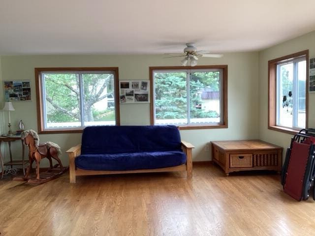 124 Horseshoe Dr, Leroy, MI 49655 - photo 5