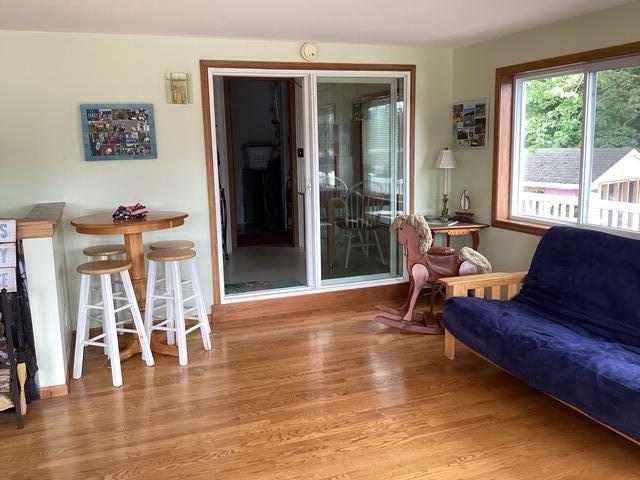 124 Horseshoe Dr, Leroy, MI 49655 - photo 6