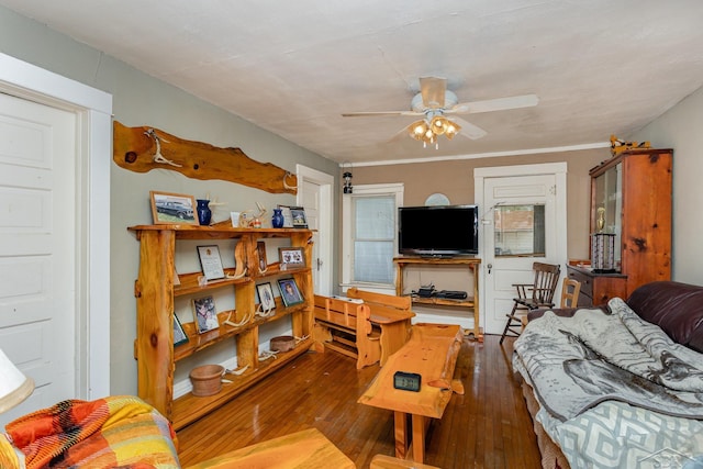 120 S Miami St, Saint Charles, MI 48655 - living room featuring a ceiling fan and hardwood / wood-style floors