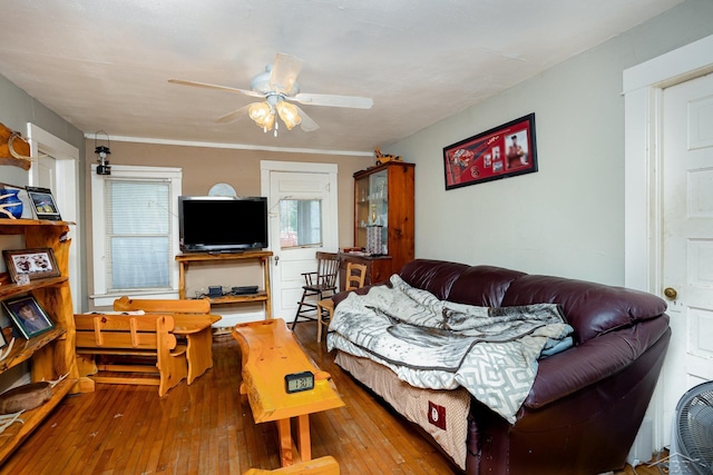 120 S Miami St, Saint Charles, MI 48655 - living area featuring wood-type flooring and a ceiling fan