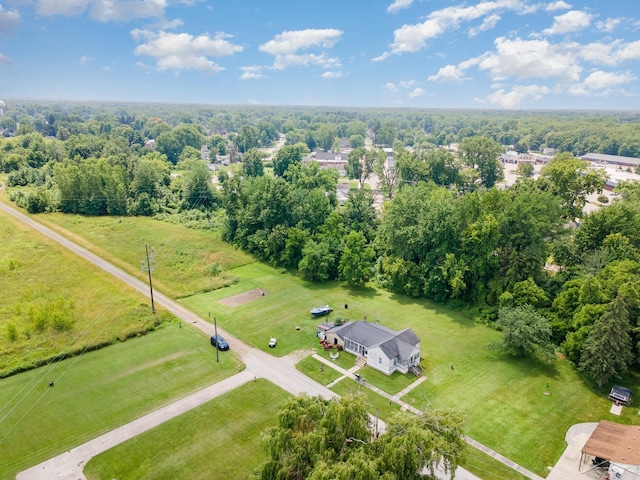 120 S Miami St, Saint Charles, MI 48655 - drone / aerial view