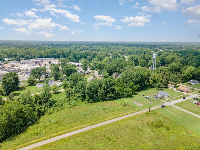 120 S Miami St, Saint Charles, MI 48655 - bird's eye view of a heavily wooded area