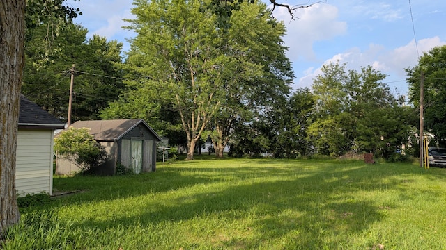 6596 Hillsinger St, Elwell, MI 48832 - view of green lawn featuring a storage unit