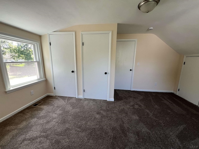 1999 Harold St, Adrian, MI 49221 - additional living space featuring vaulted ceiling and carpet floors