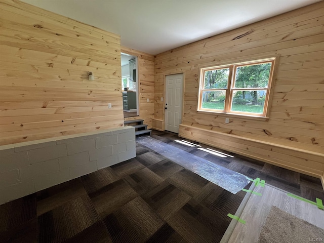 1999 Harold St, Adrian, MI 49221 - empty room featuring wood walls and dark wood finished floors