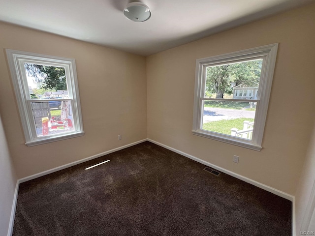 1999 Harold St, Adrian, MI 49221 - unfurnished room with healthy amount of natural light and dark colored carpet
