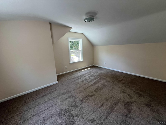 1999 Harold St, Adrian, MI 49221 - bonus room featuring carpet floors and vaulted ceiling