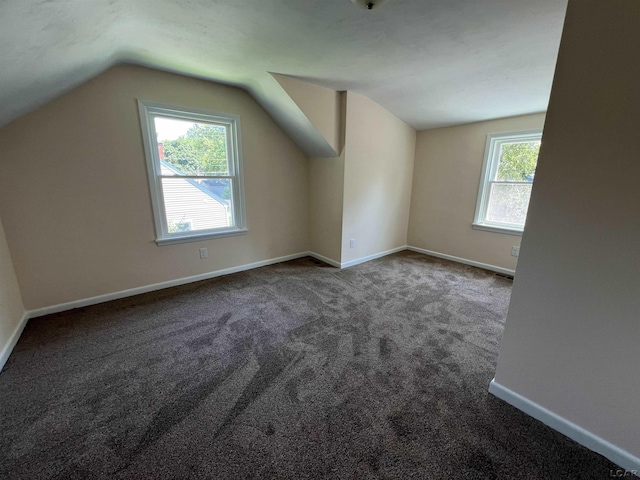 1999 Harold St, Adrian, MI 49221 - bonus room featuring carpet flooring and vaulted ceiling