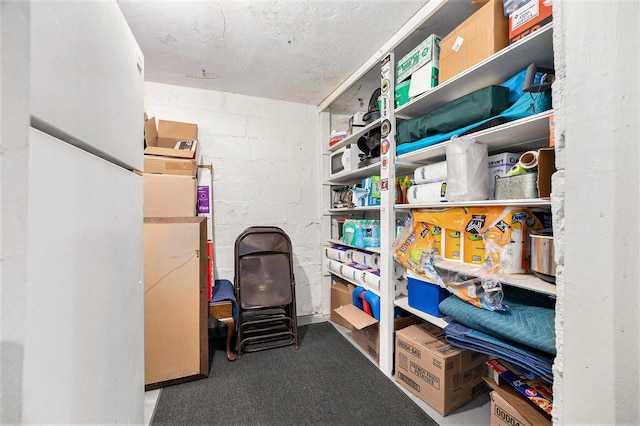 2028 Rowe Ave NE, Grand Rapids, MI 49505 - view of storage