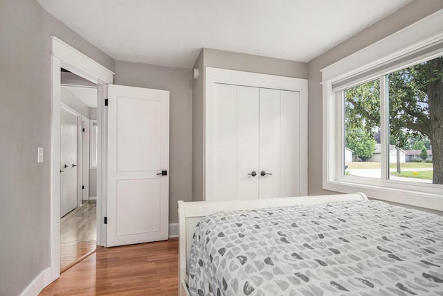 1836 Ridgewood Ave SE, Grand Rapids, MI 49506 - bedroom featuring light wood finished floors and a closet