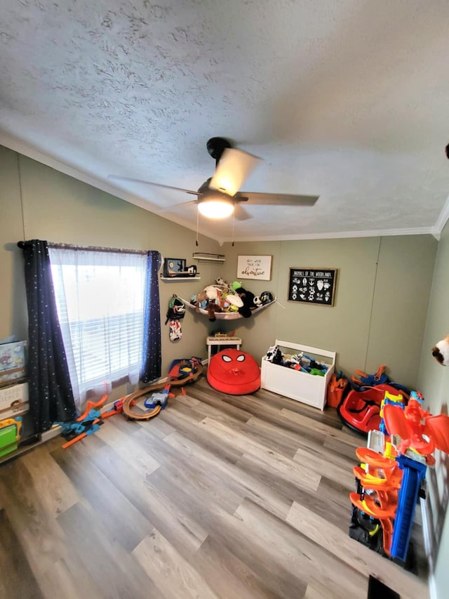 232 S Tabor St, Lyons, MI 48851 - photo 21