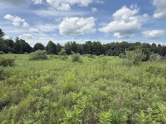 14128 100th Ave, Rodney, MI 49342 - photo 5