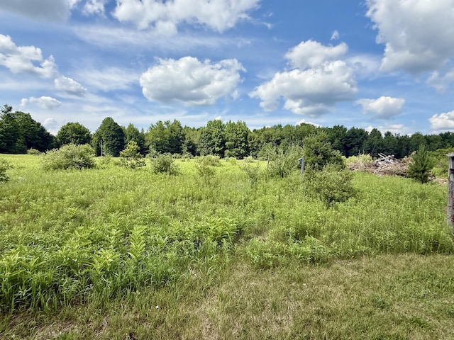 14128 100th Ave, Rodney, MI 49342 - photo 12