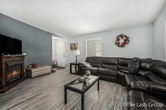 2851 18 Mile Rd, Kent City, MI 49330 - living room featuring wood finished floors and a lit fireplace
