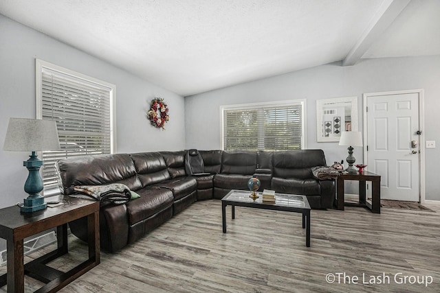 2851 18 Mile Rd, Kent City, MI 49330 - living room featuring wood finished floors